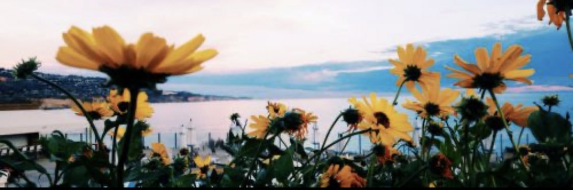 taylorpak_'s profile banner image