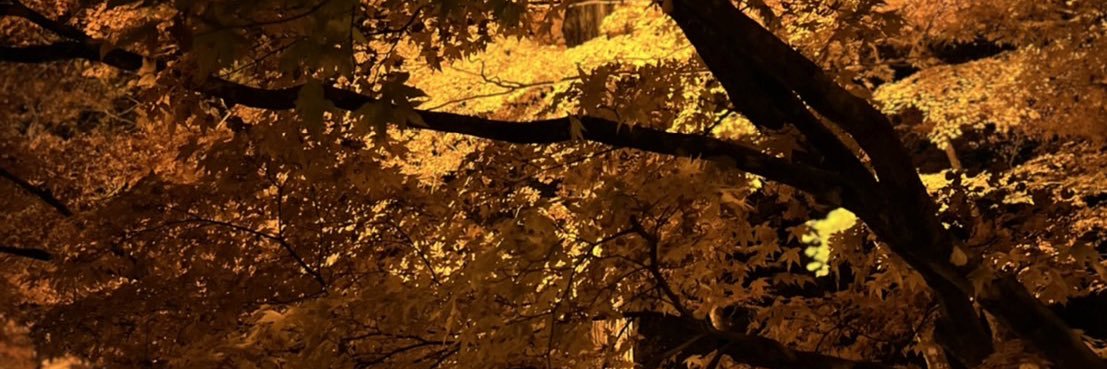 Hb0523Tmm's profile banner image