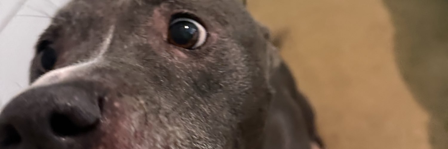 _BeatMyAss's profile banner image