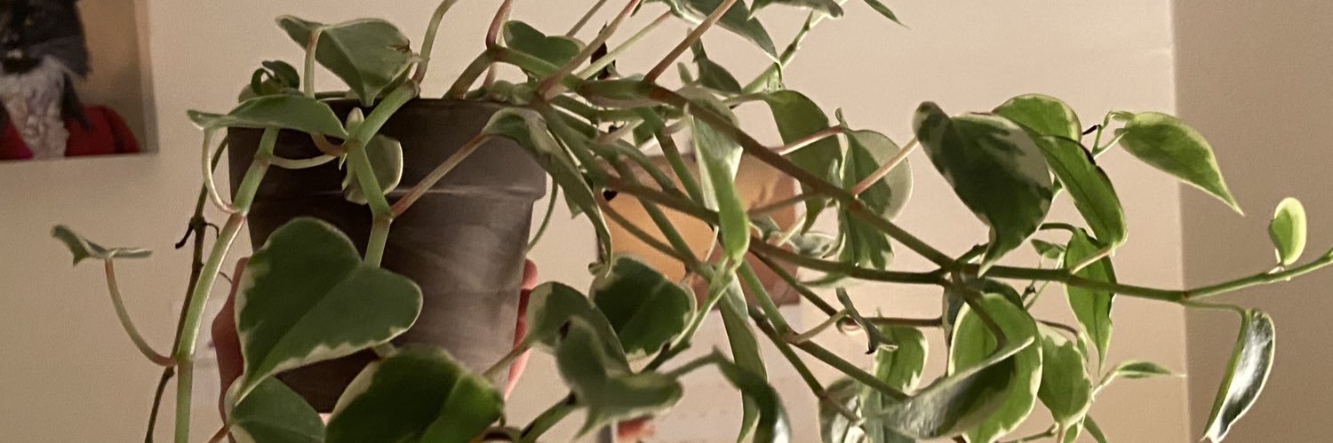annamcsnail's profile banner image