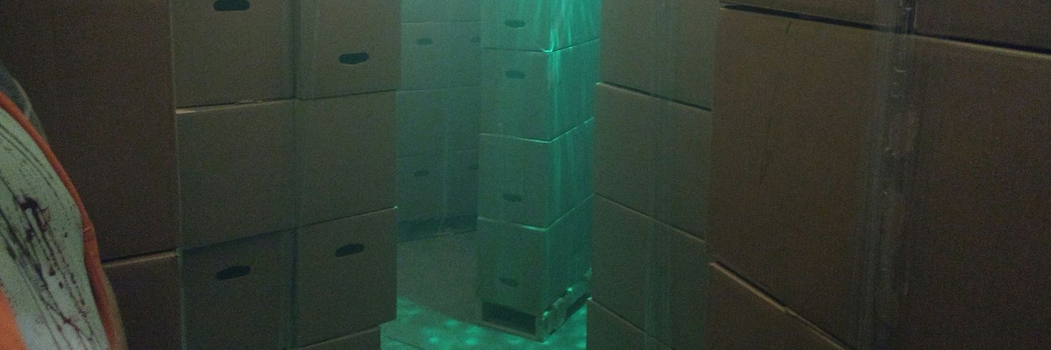 SpawnofSteve2's profile banner image