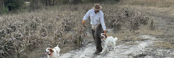DavisKnox Profile Banner