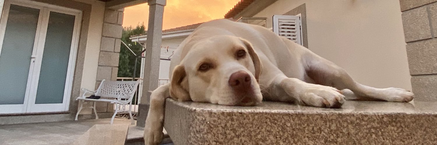 BrincoComEstilo's profile banner image