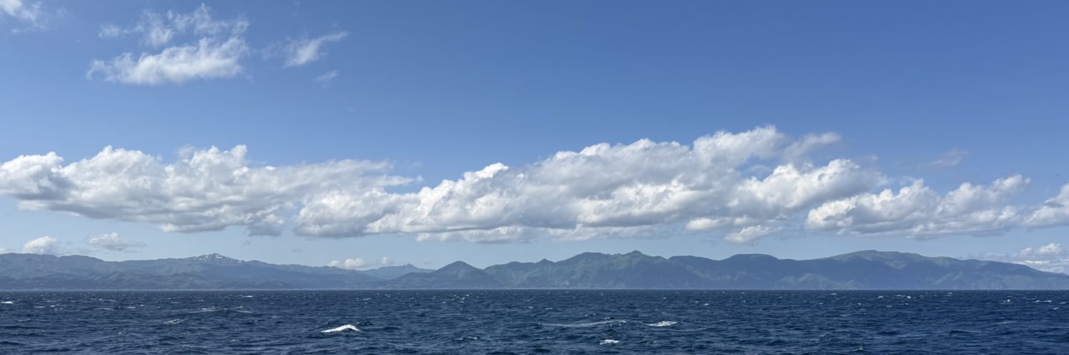 ViceRoaaa's profile banner image