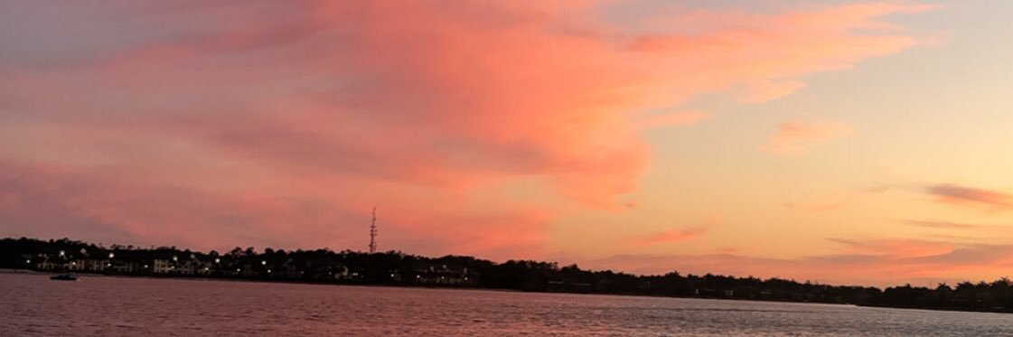 maddieferguson_'s profile banner image