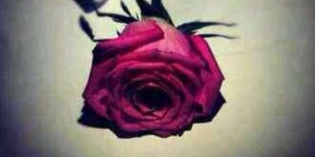 sassa12341's profile banner image