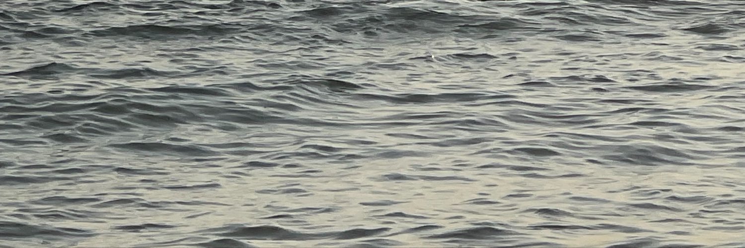 tosal11's profile banner image