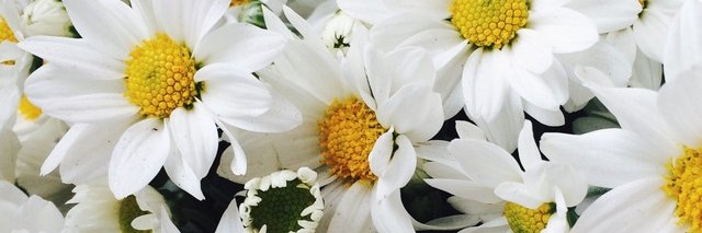 Cisneros1311's profile banner image