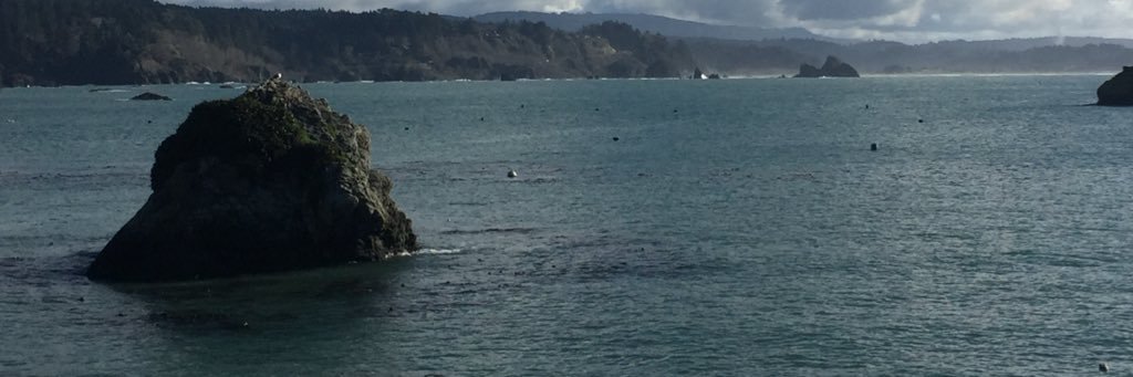 redwoodfish's profile banner image