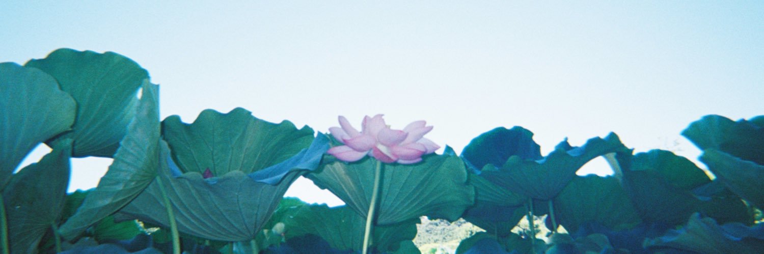 吉谷 凪 banner