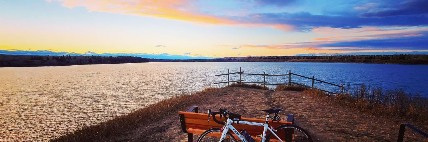 Lisa (Homer) Baril banner