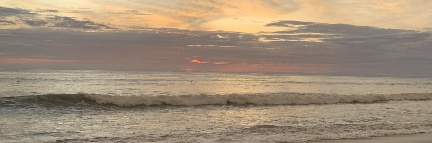 Verónica Coello M. banner