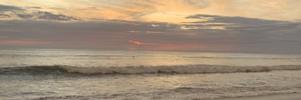 verocoellom Profile Banner