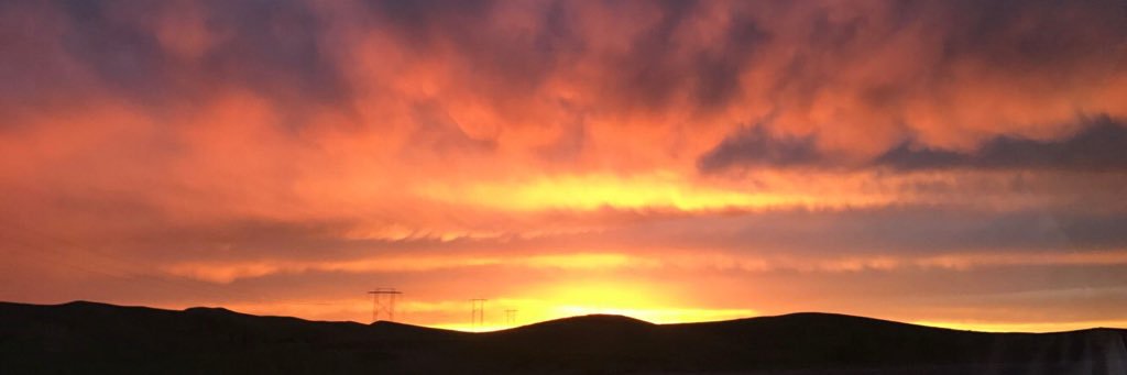 justine_roe's profile banner image
