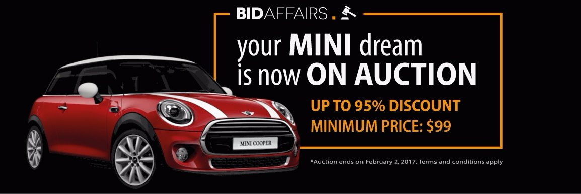 BidAffairs's profile banner image