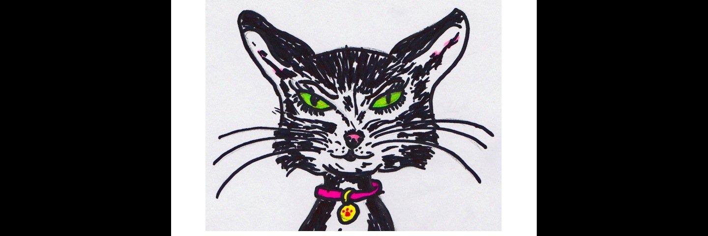 CatdelMar1's profile banner image