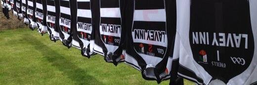 LaveyGAA banner