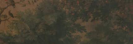 tizy banner