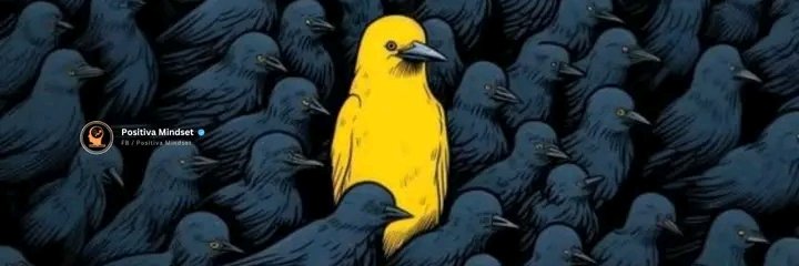 markwills06's profile banner image