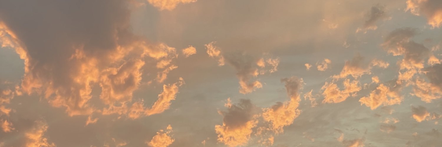 brendagciac's profile banner image