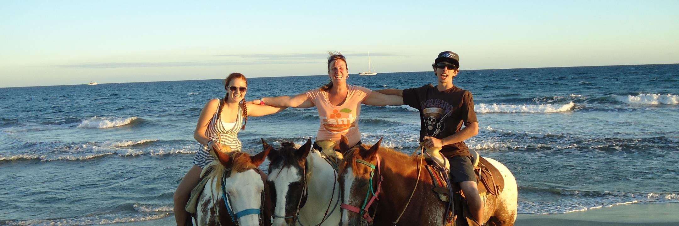 Erin Strength banner