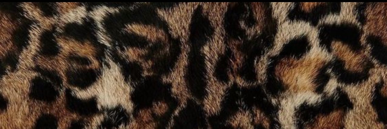 MsSantos_'s profile banner image