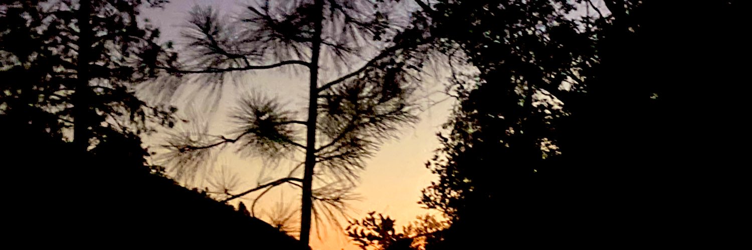 ChiefStink_'s profile banner image