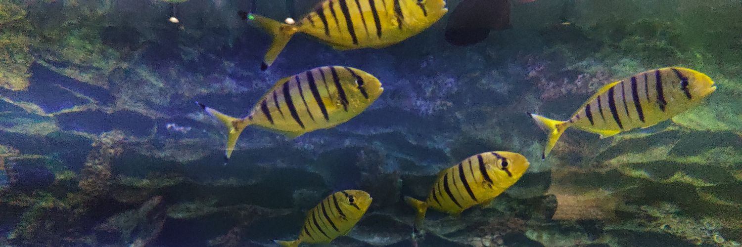 Darshan Meniya banner
