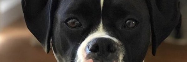 justscrap805 Profile Banner