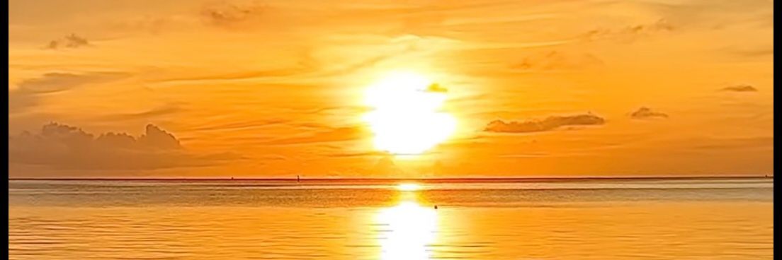 anansar's profile banner image