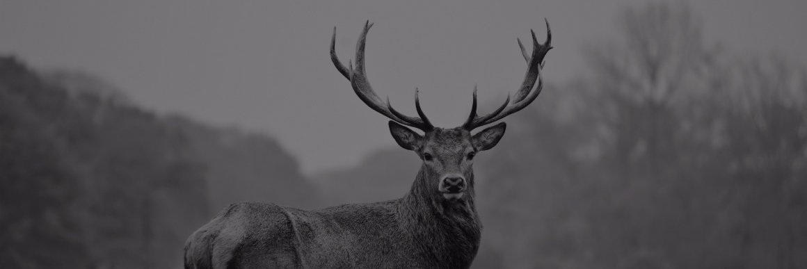 IODM_HQ's profile banner image