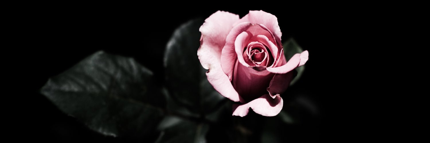 serpassergio's profile banner image