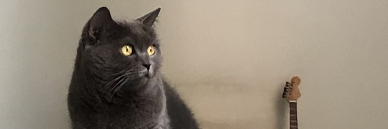 thepintoman's profile banner image