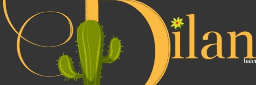 dilanballl's profile banner image