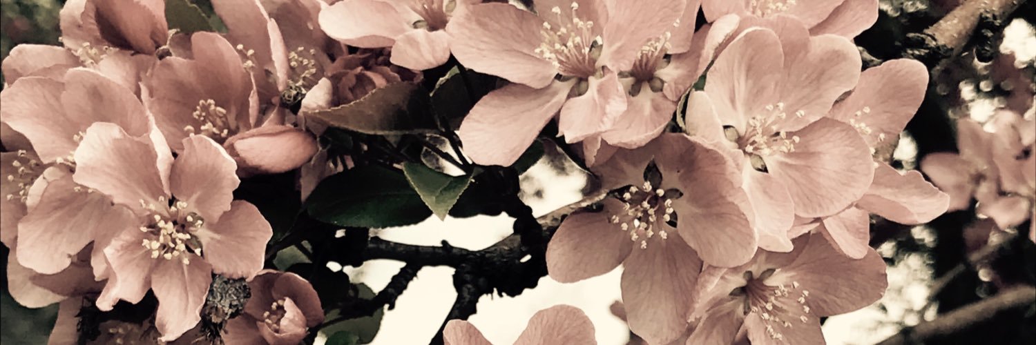 MCoutrix's profile banner image