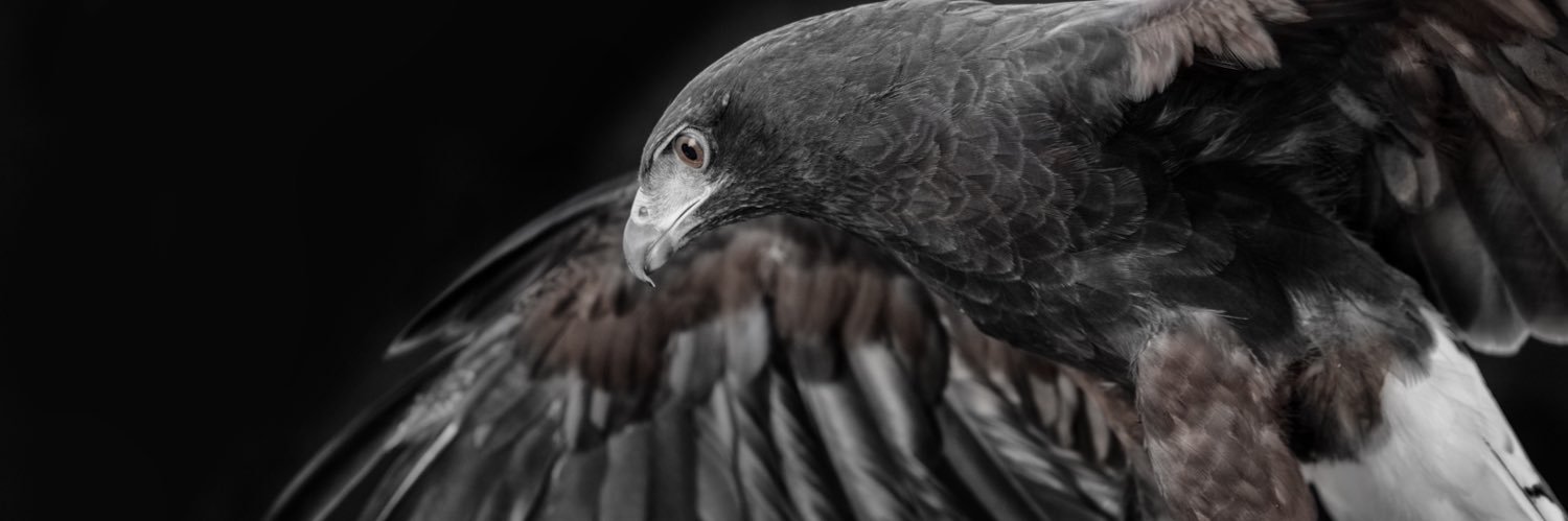 RWestrich's profile banner image