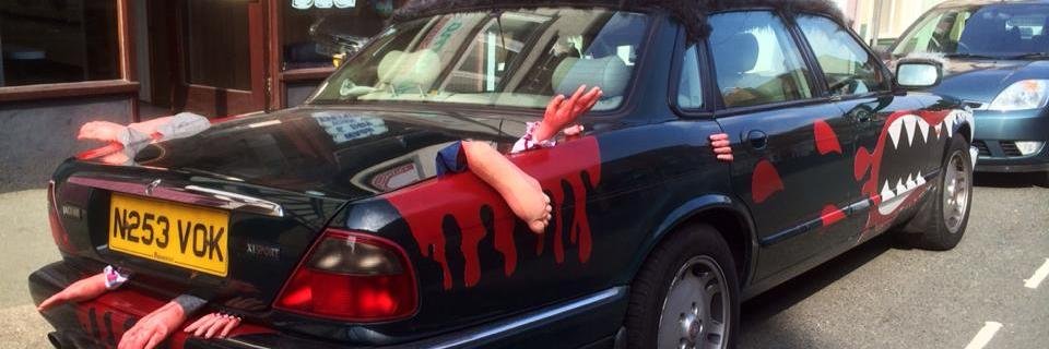 the_fleabags's profile banner image