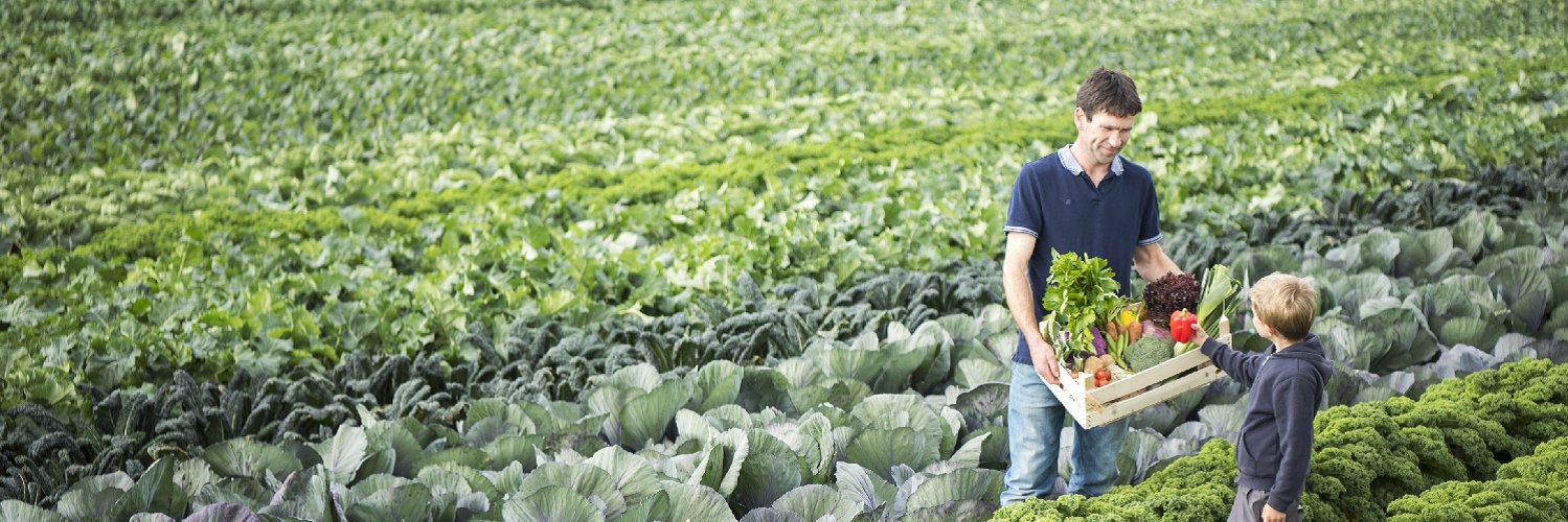 FlavourFirstVeg's profile banner image