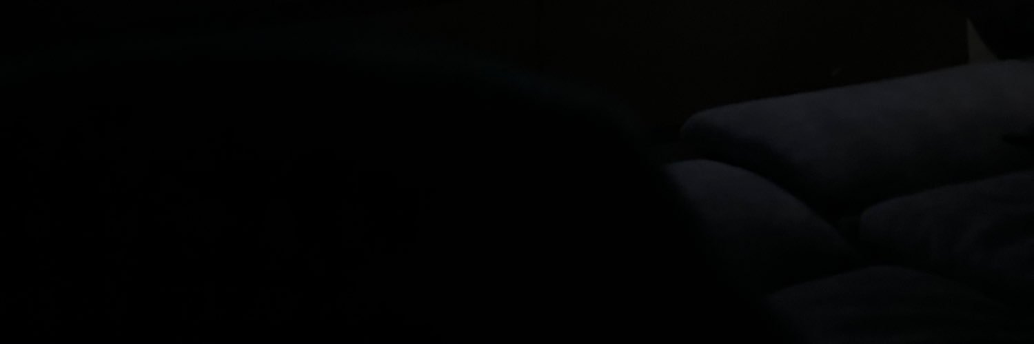 allyzcartz's profile banner image