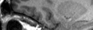 osdlovk's profile banner image