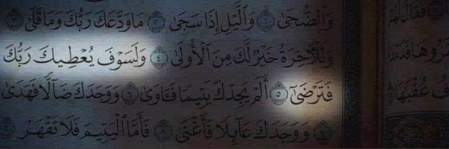 ragabbelal_'s profile banner image