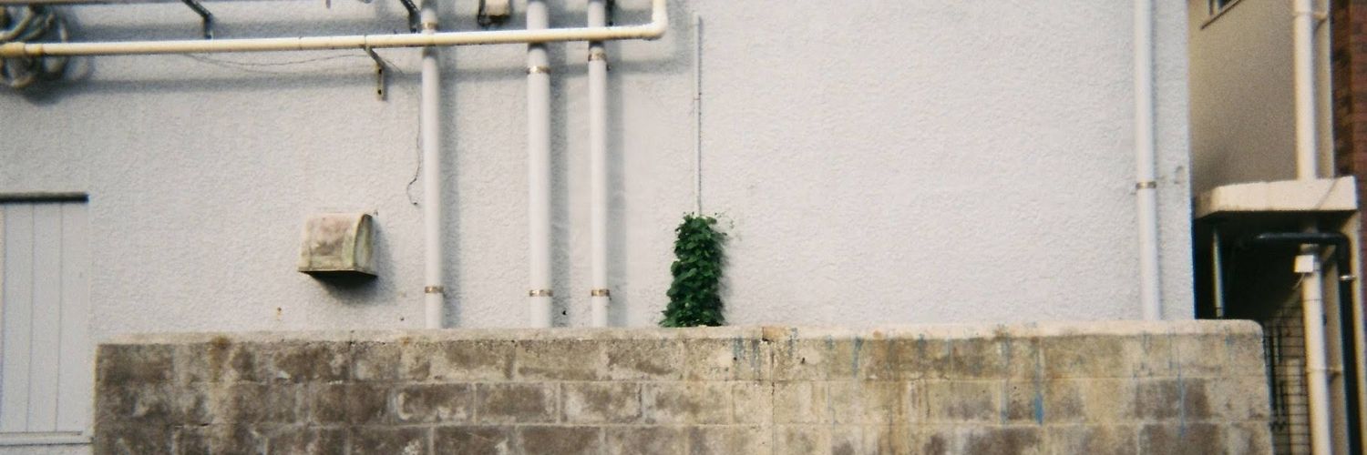 ne_na_cat's profile banner image