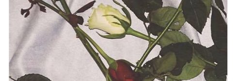 ronn_j1's profile banner image