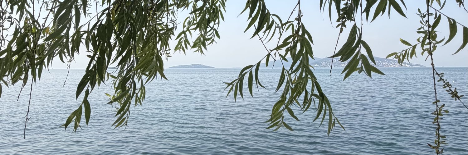 thehapsuu's profile banner image