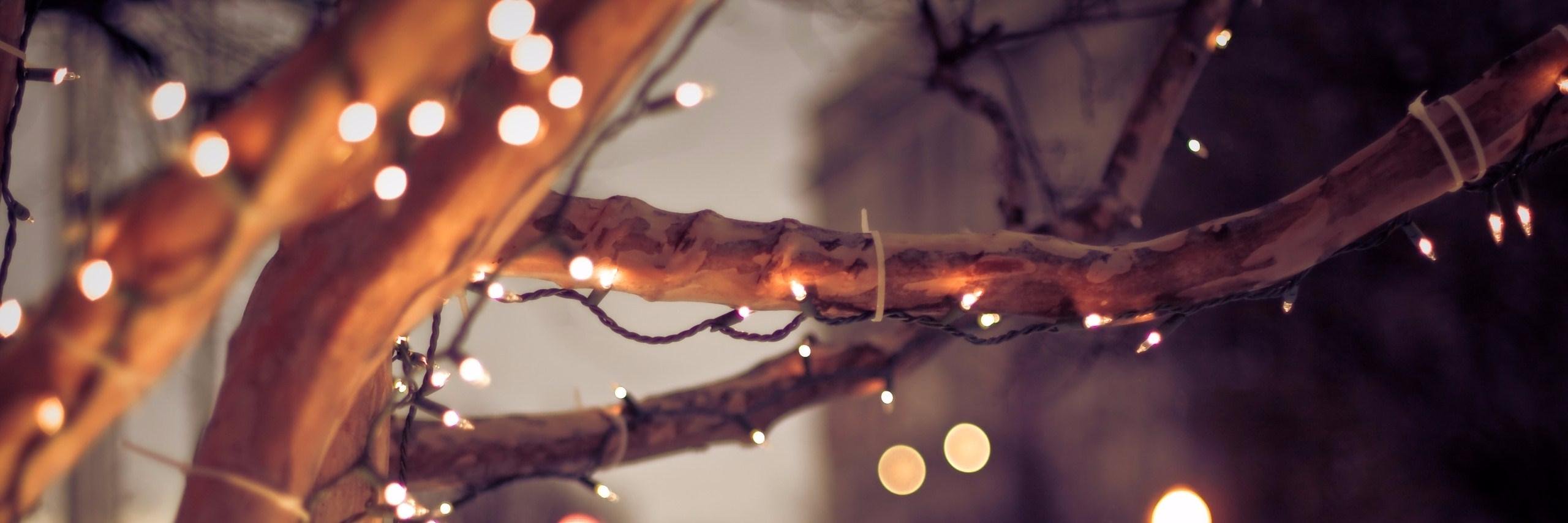 MeghanWithTheH's profile banner image
