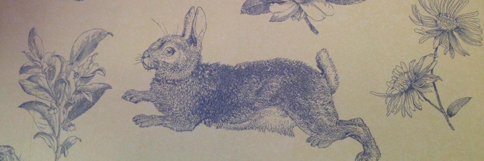 Rabbits Truths banner
