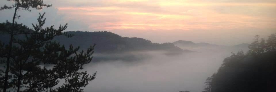 matthasenjager's profile banner image