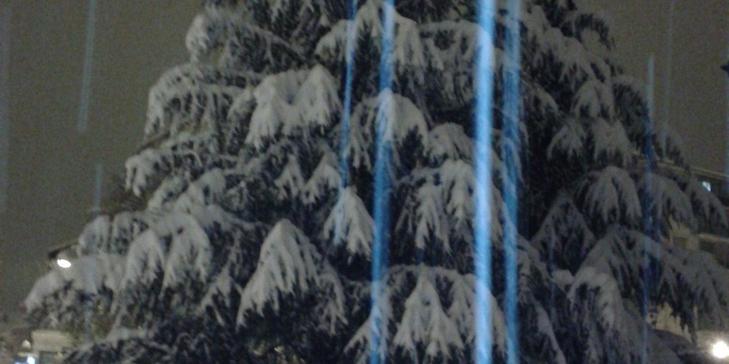 AnaBenages's profile banner image