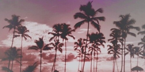 AriaRPGLBH's profile banner image
