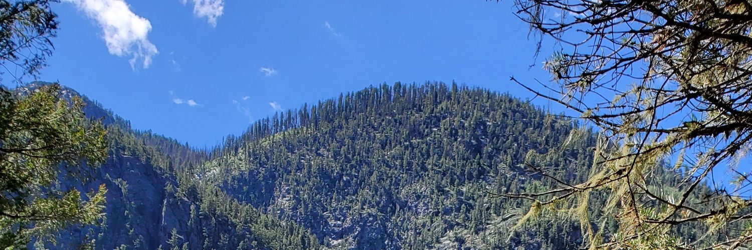 cosmchk's profile banner image